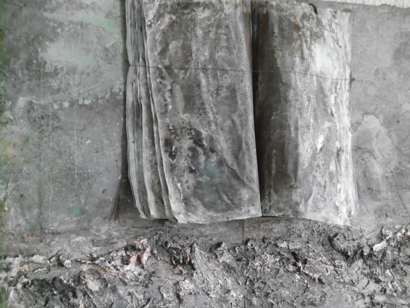 la Biennale dArt Contemporain de Lyon 4